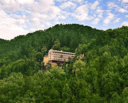 imgi_65_c93b775406a611eaa4140242ac110003